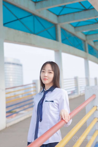 江湖侠女泪梅开四度免费阅读