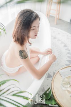 惠崇春江晚景的意思