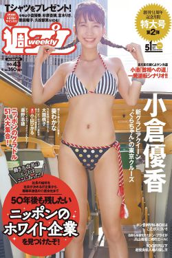 赵又廷个人资料及简历