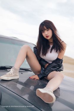 败犬女王电视剧